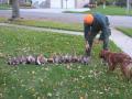 Joe counts the birds while Nike makes sure they don't get away